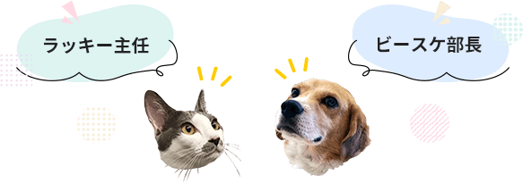 猫のラッキー主任と犬のビースケ部長