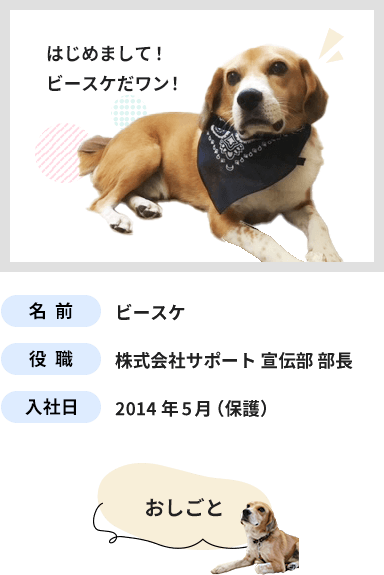 犬のビースケ部長のプロフィール