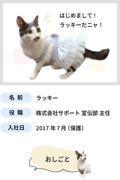 猫のラッキー主任のプロフィール