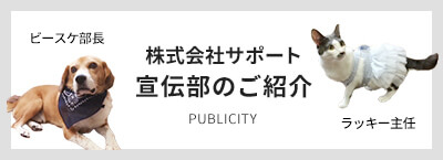 株式会社サポート 宣伝部のご紹介